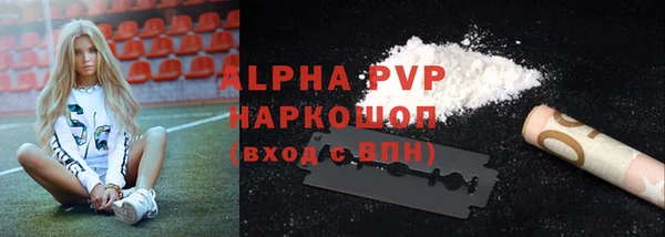мдпв Инта