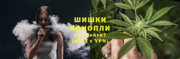 мдпв Инта