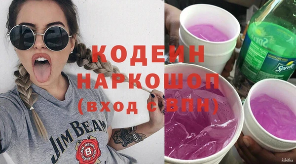 мдпв Инта