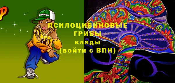 мдпв Инта