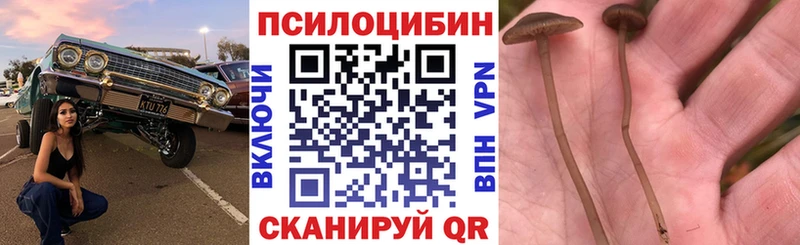 Псилоцибиновые грибы Magic Shrooms  Купить закладки  Котово 